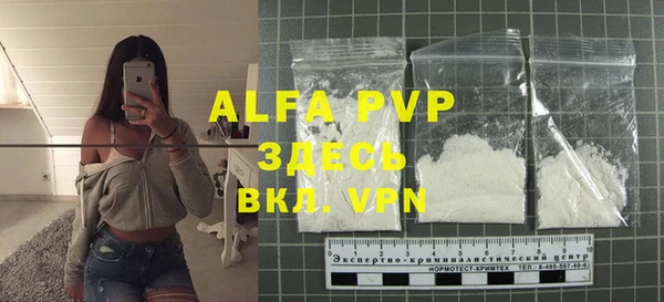 стафф Алексин
