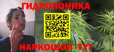 хмурый Малоярославец