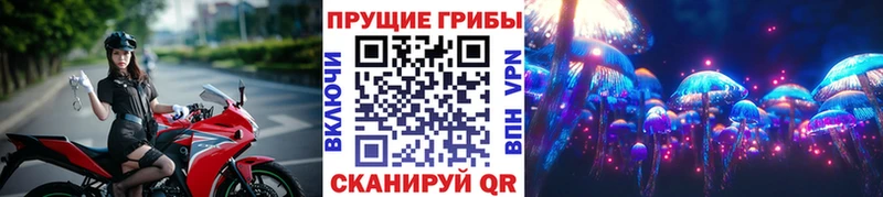 Псилоцибиновые грибы GOLDEN TEACHER Грязи