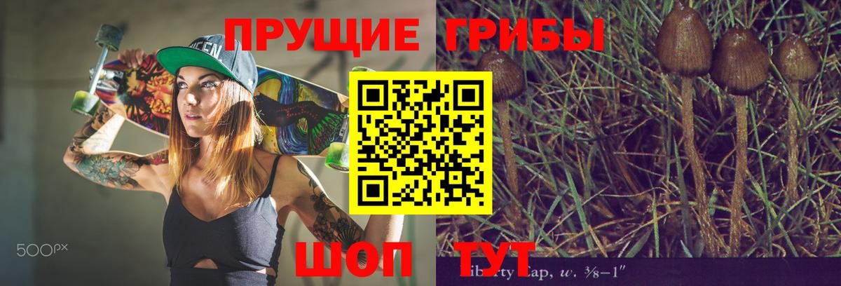 Грязи  Галлюциногенные грибы мицелий  Вход с VPN 