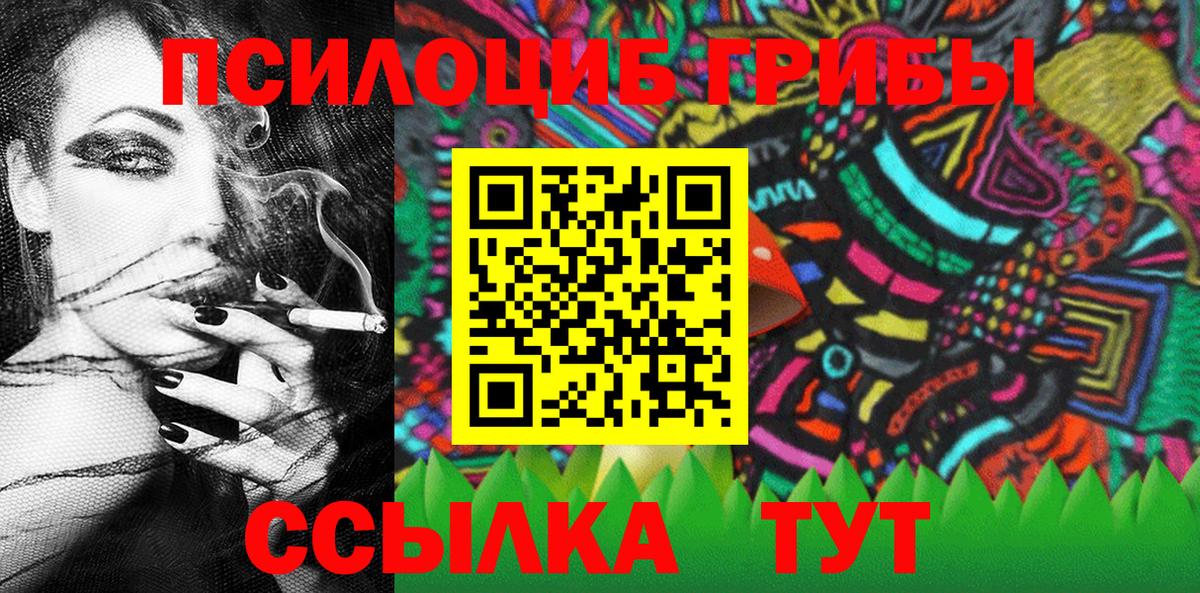 Галлюциногенные грибы Psilocybine cubensis Грязи